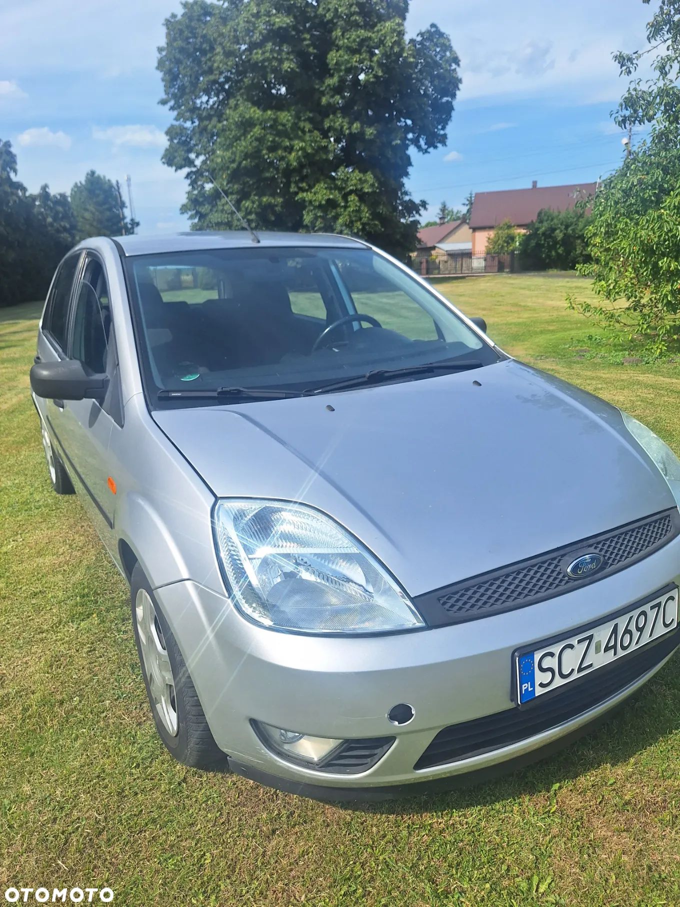 Ford Fiesta - 1