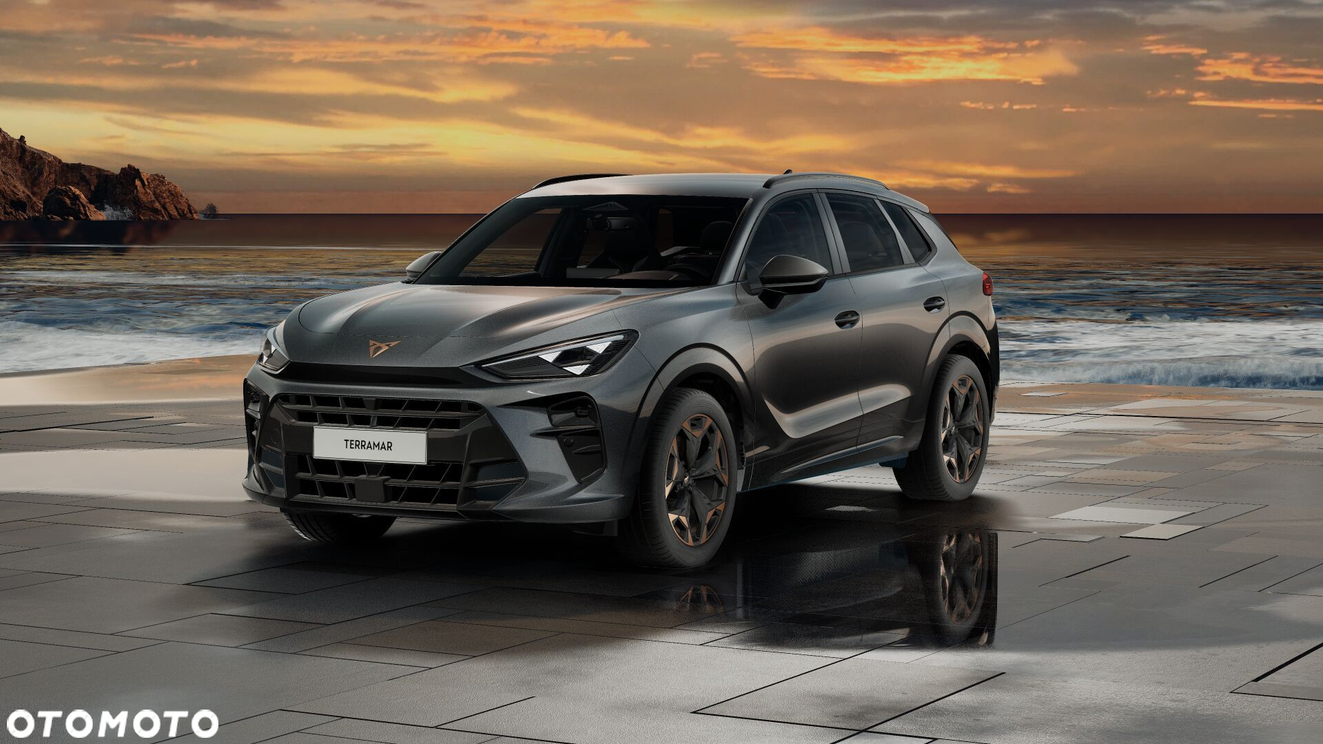 Cupra Terramar - 4
