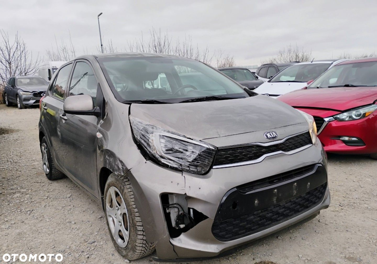 Kia Picanto - 2
