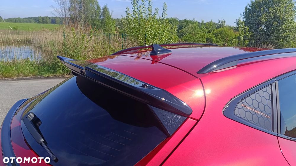 Cupra Formentor 1.5 TSI - 19