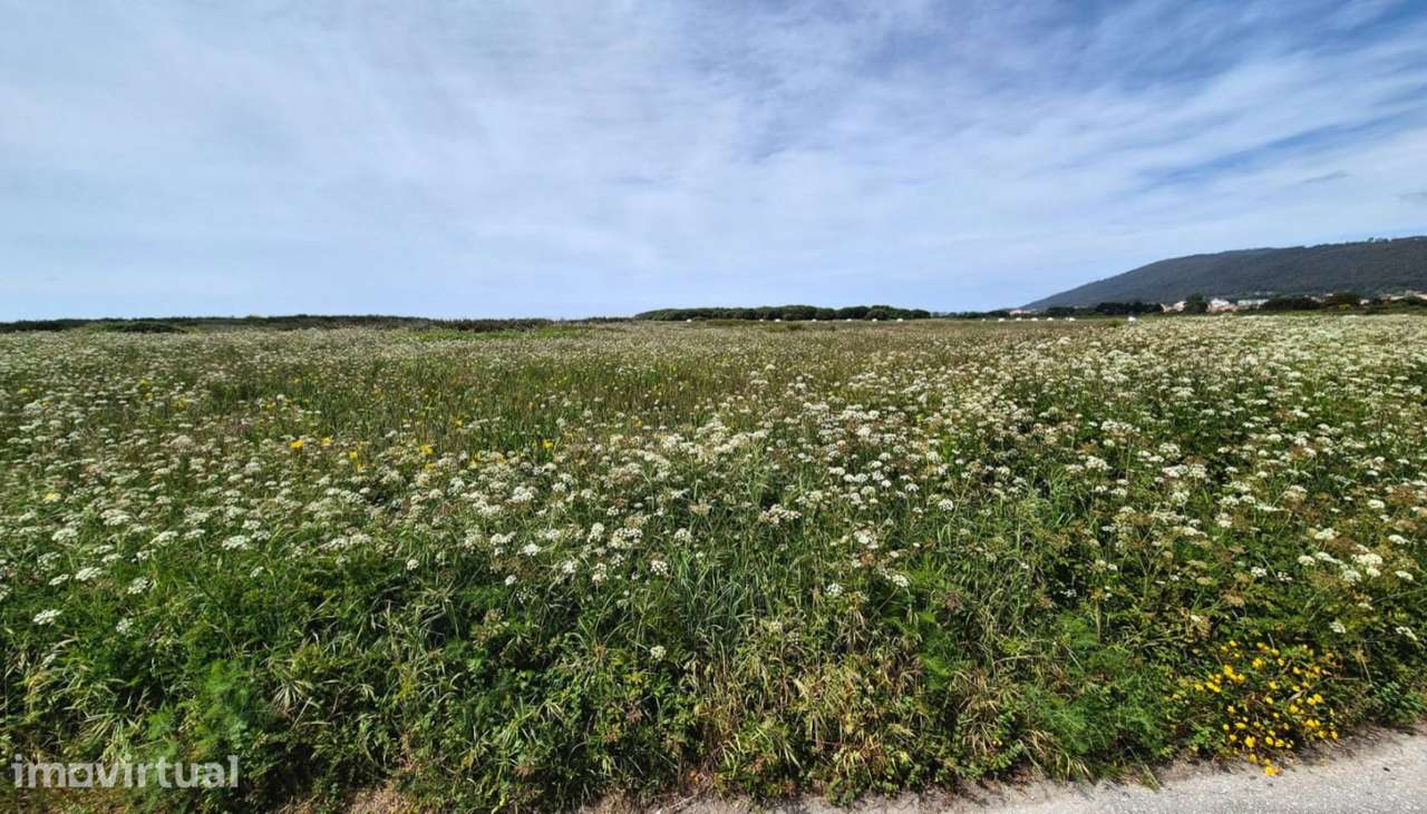Venda de terreno agrícola c/ 9610m², Areosa, Viana do Castelo - Grande imagem: 4/20