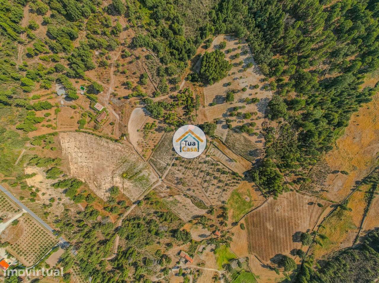 Terreno Rústico com 5 Hectares, em Sernancelhe - Grande imagem: 2/19