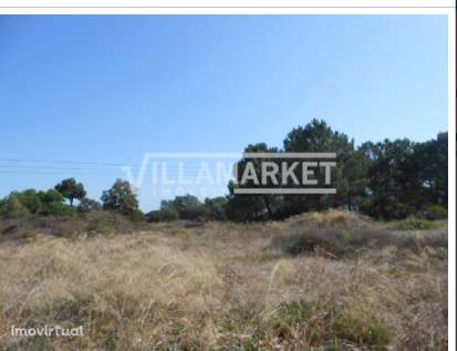 Terreno urbano para construção com 195 m², localizado em Pinhal da Vil - Grande imagem: 3/3