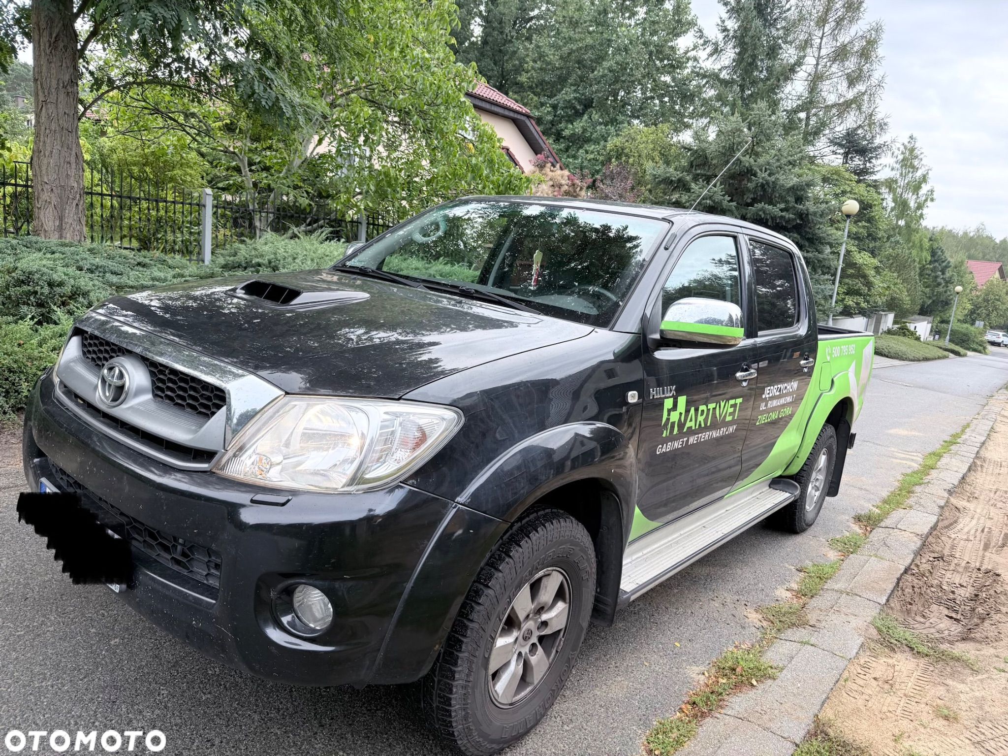 Toyota Hilux - 1