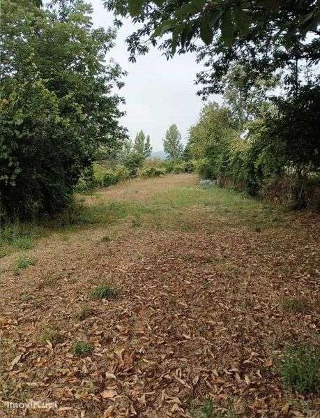 Terreno em Alvarenga-Arouca - Grande imagem: 5/10
