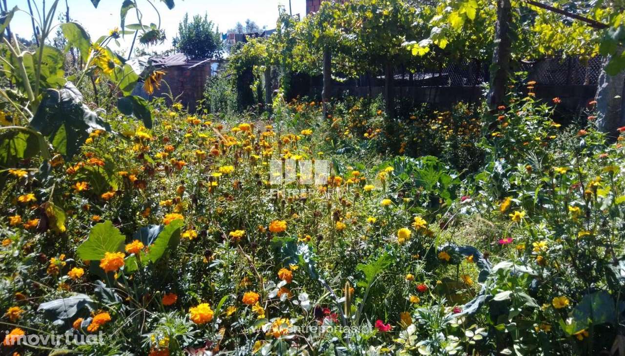 Venda Terreno com 3660 m2, Souselo, Cinfães - Grande imagem: 5/30