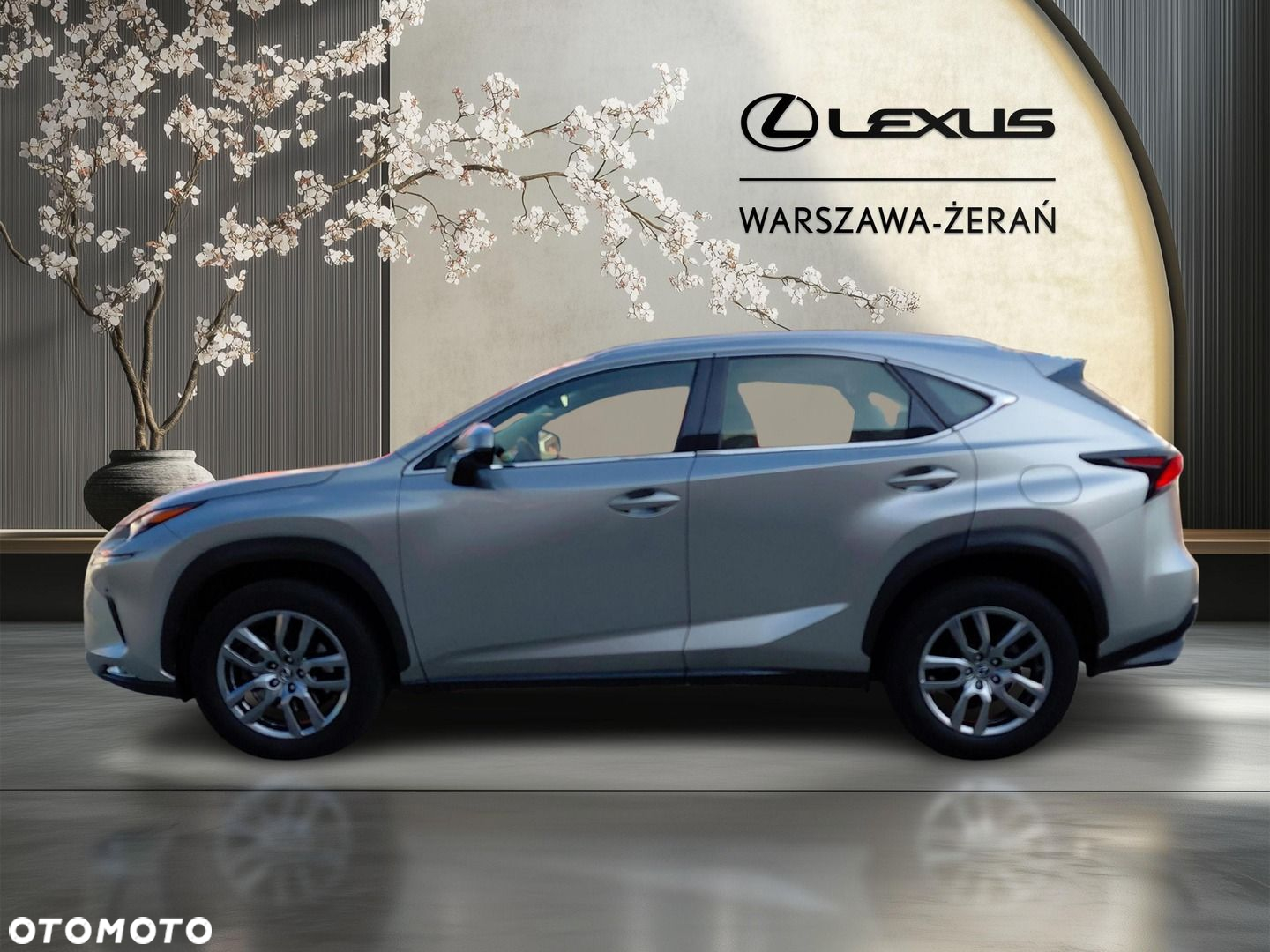 Lexus NX 300 Optimum AWD - 4