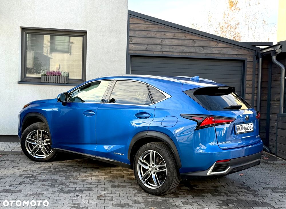 Lexus NX - 14