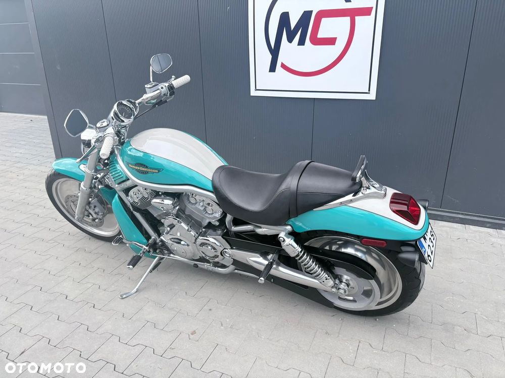 Harley-Davidson Softail V-Rod - 8