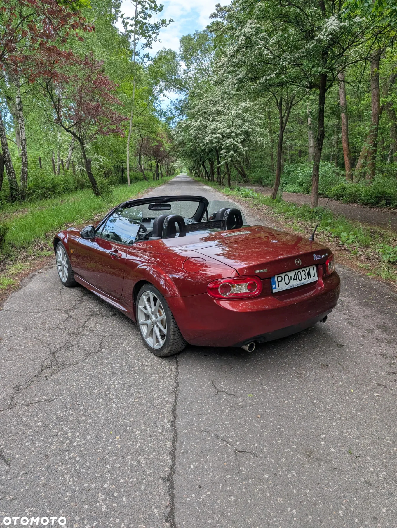Mazda MX-5 - 12