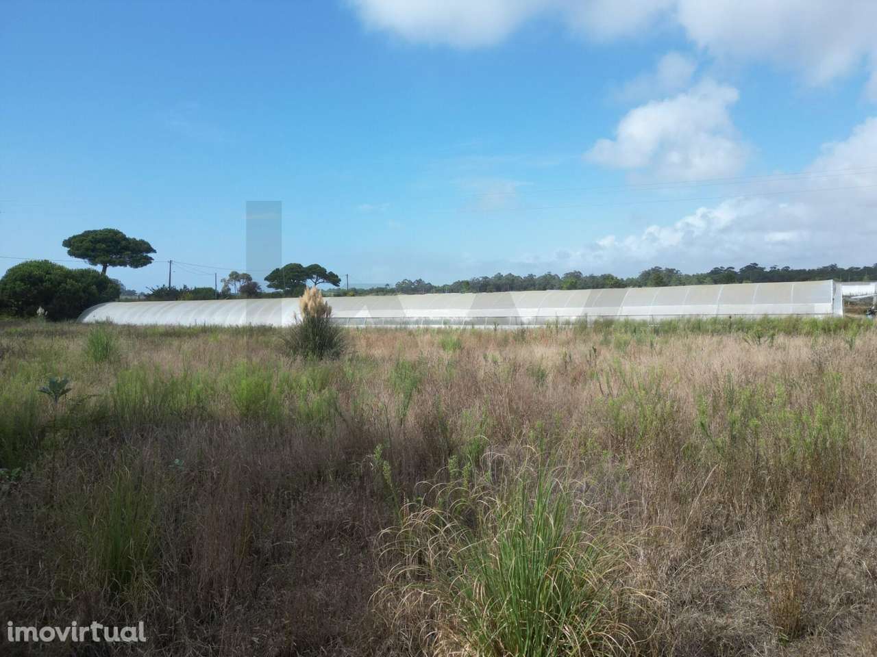 Terreno Rústico 3.750 m2 – Rio Alto, Estela - Póvoa de Varzim - Grande imagem: 4/22