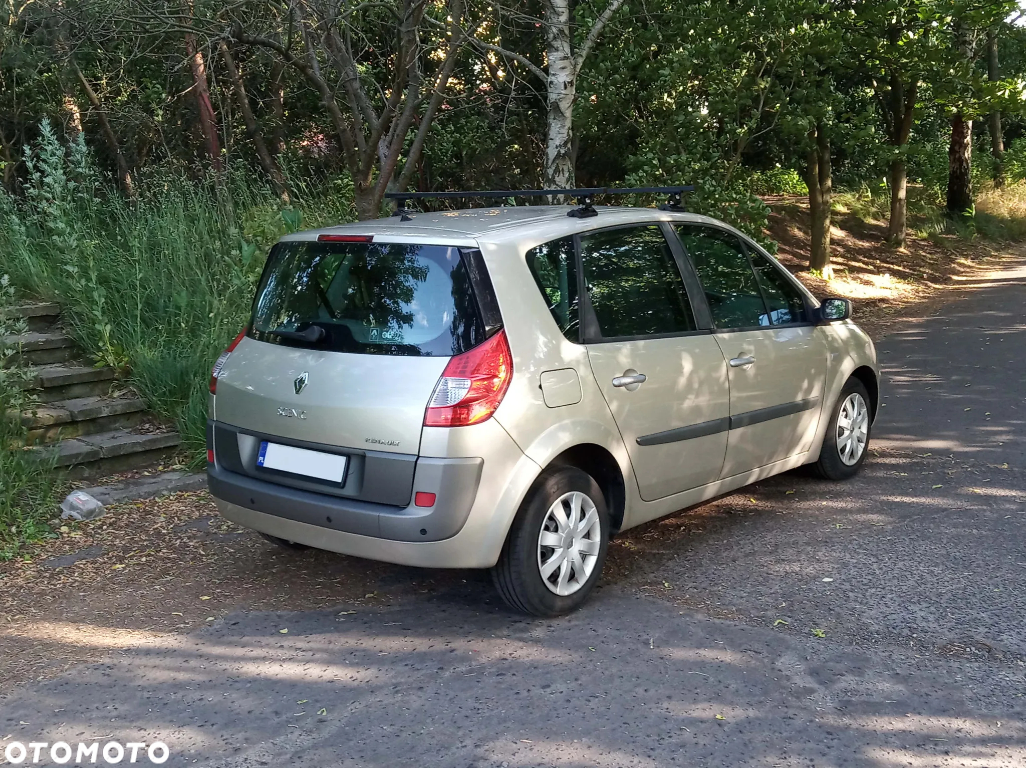 Renault Scenic - 3