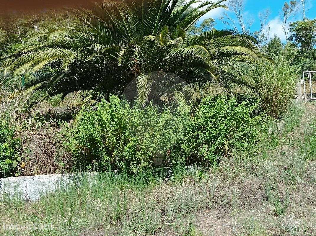 Terreno  para venda - Grande imagem: 2/10