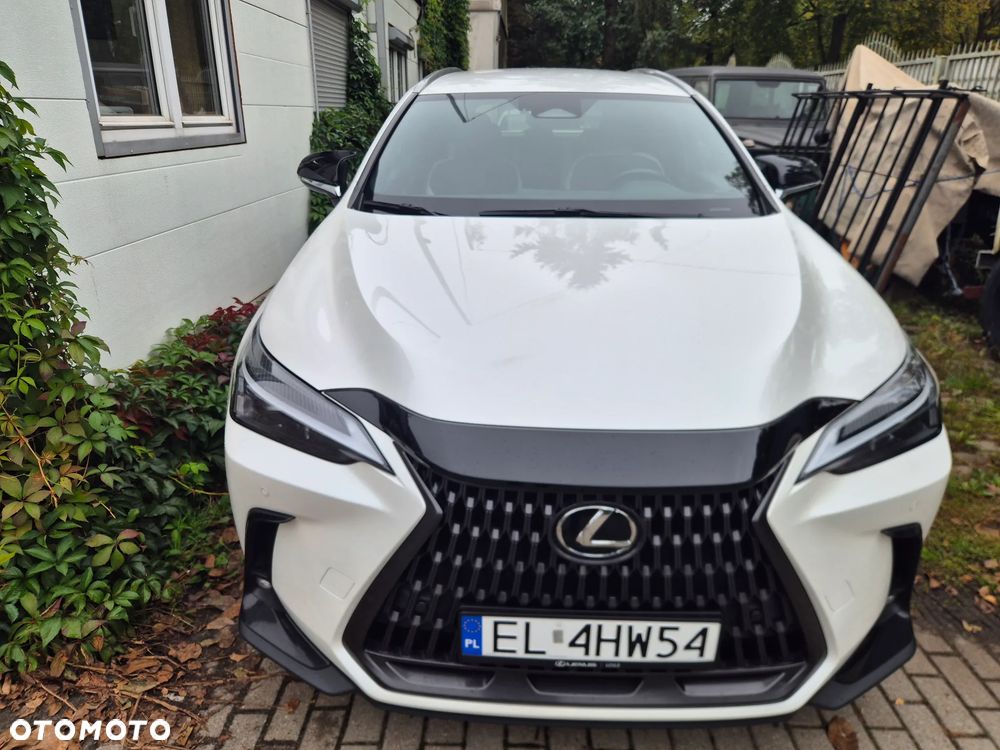 Lexus NX - 8