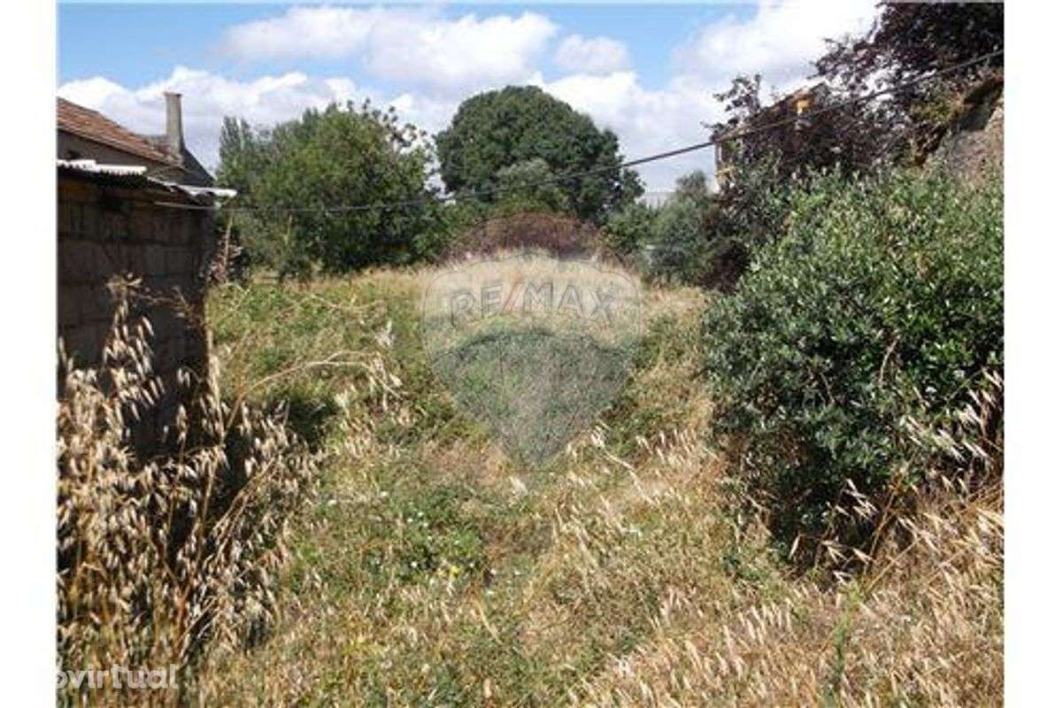 Moradia para recuperação - Grande imagem: 3/11