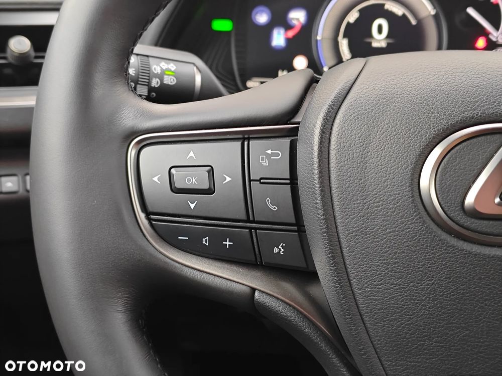 Lexus UX 250h GPF F Sport Design+ 2WD - 25