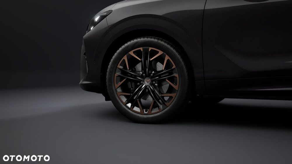 Cupra Terramar 2.0 TSI 4Drive Advantage Edition DSG - 8