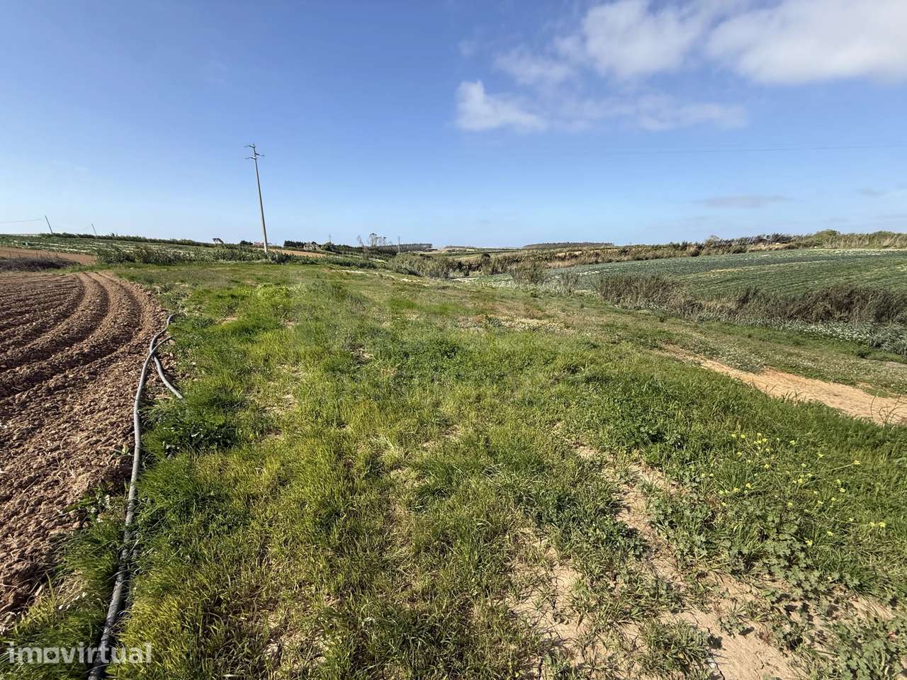 Terreno Rústico Exclusivo com Vista Mar | Natureza e Lifestyle Próx... - Grande imagem: 5/17