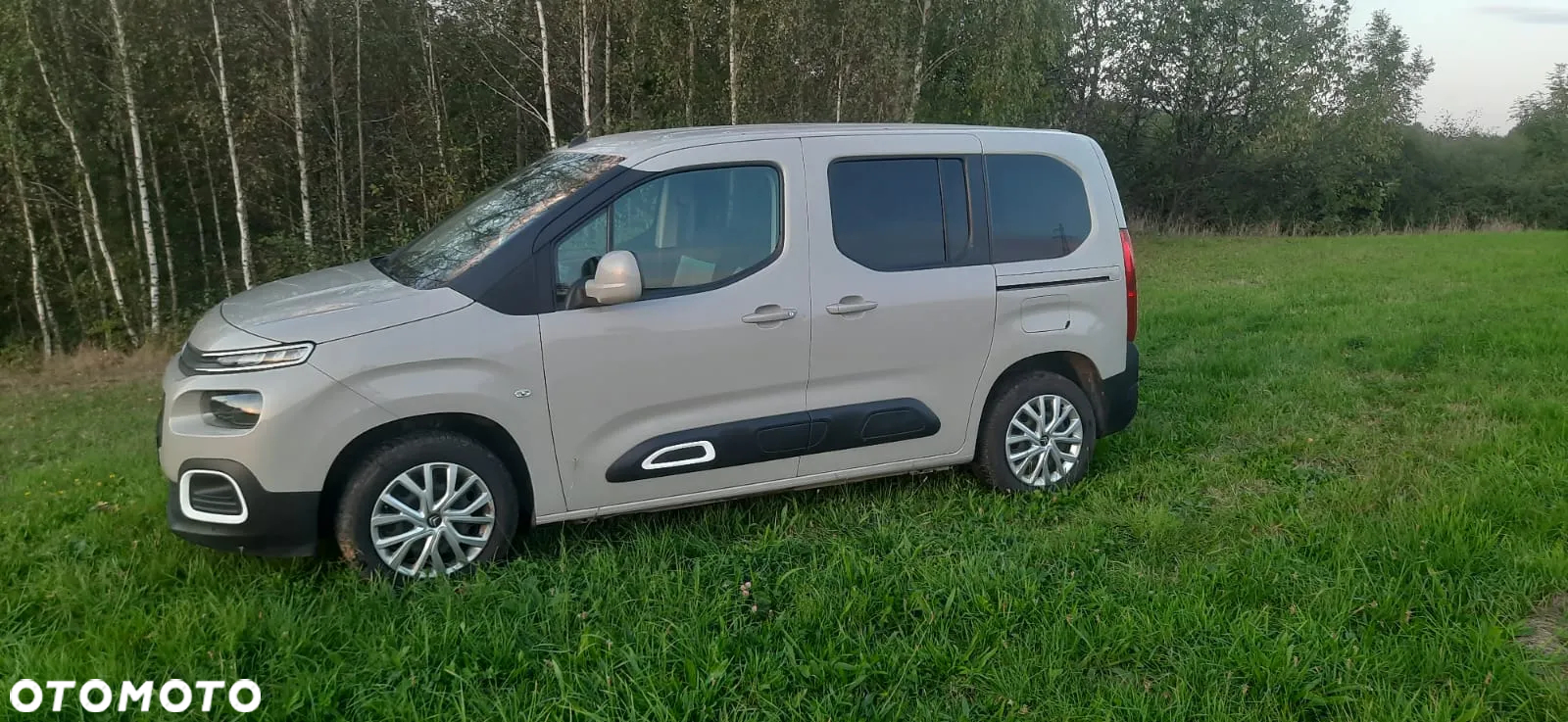 Citroën Berlingo M 1.5 BlueHDI Shine - 6