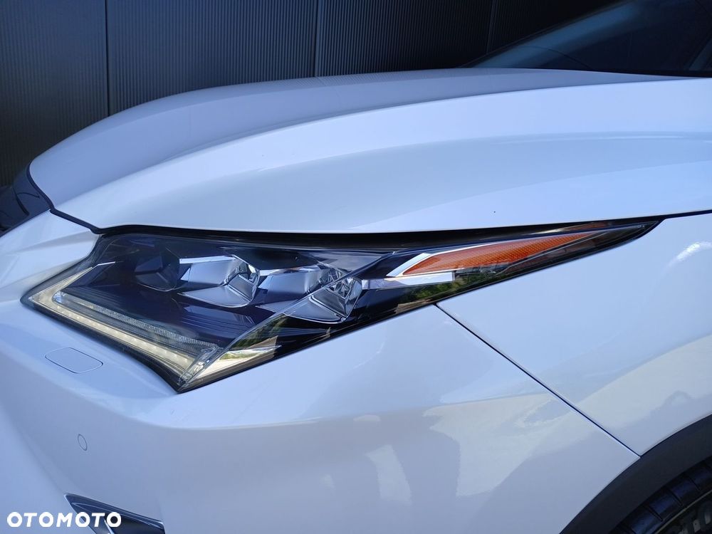 Lexus RX - 27