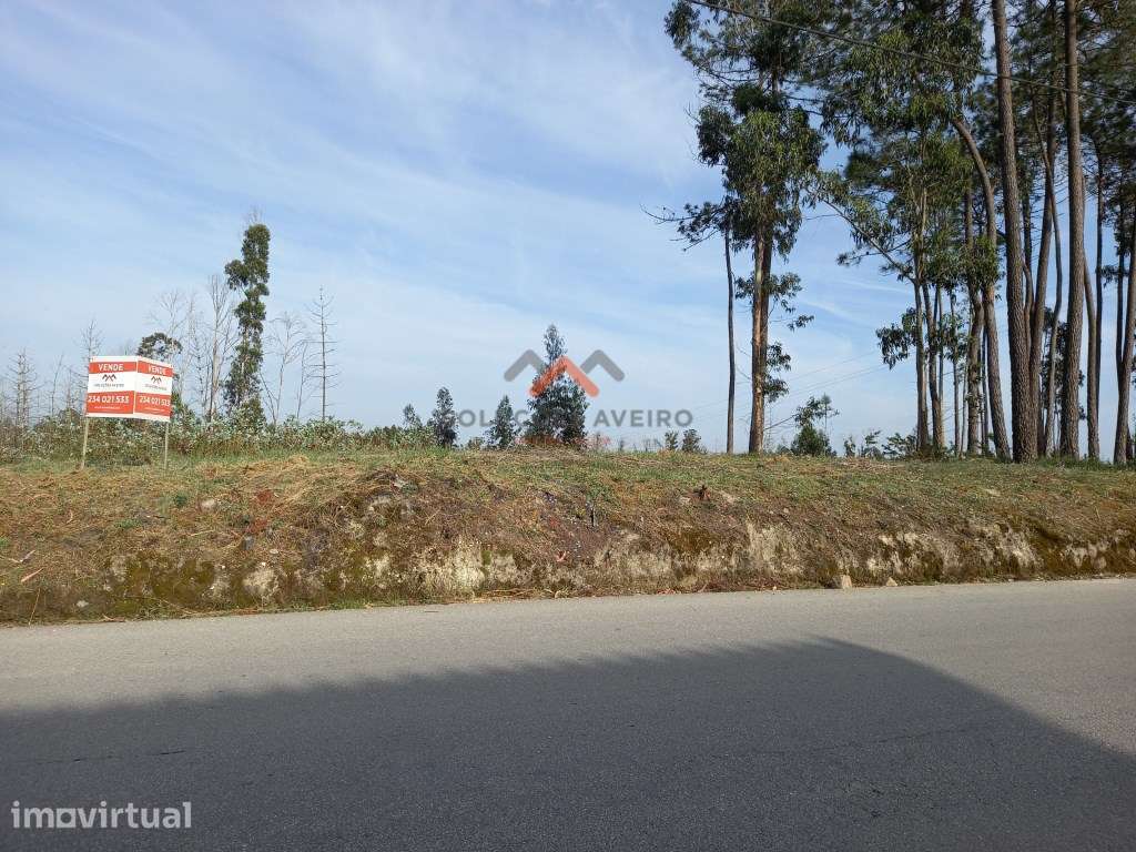 Terreno para urbanização em Passadouro ( Nariz ) - Grande imagem: 2/16