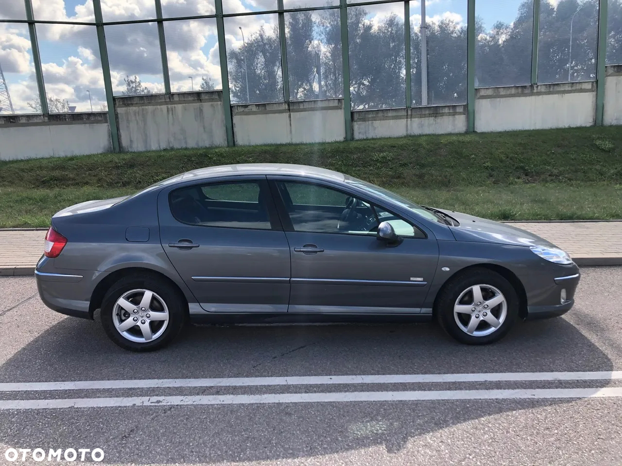 Peugeot 407 - 5