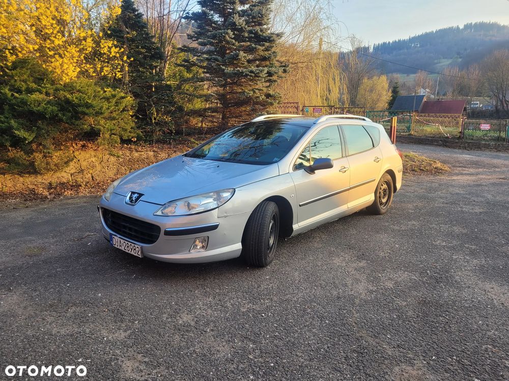 Peugeot 407 HDi 135 - 6