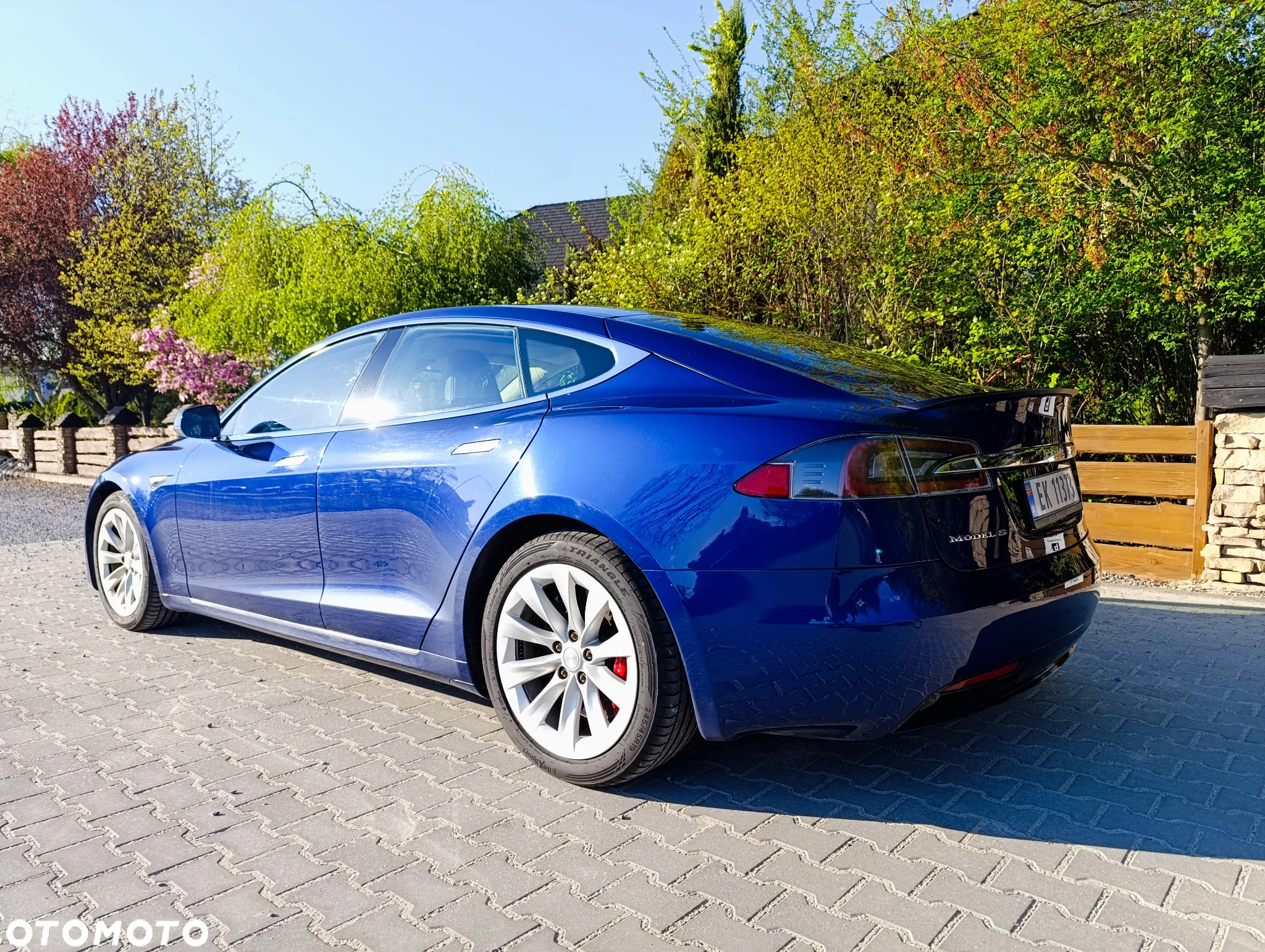 Tesla Model S Performance - 20