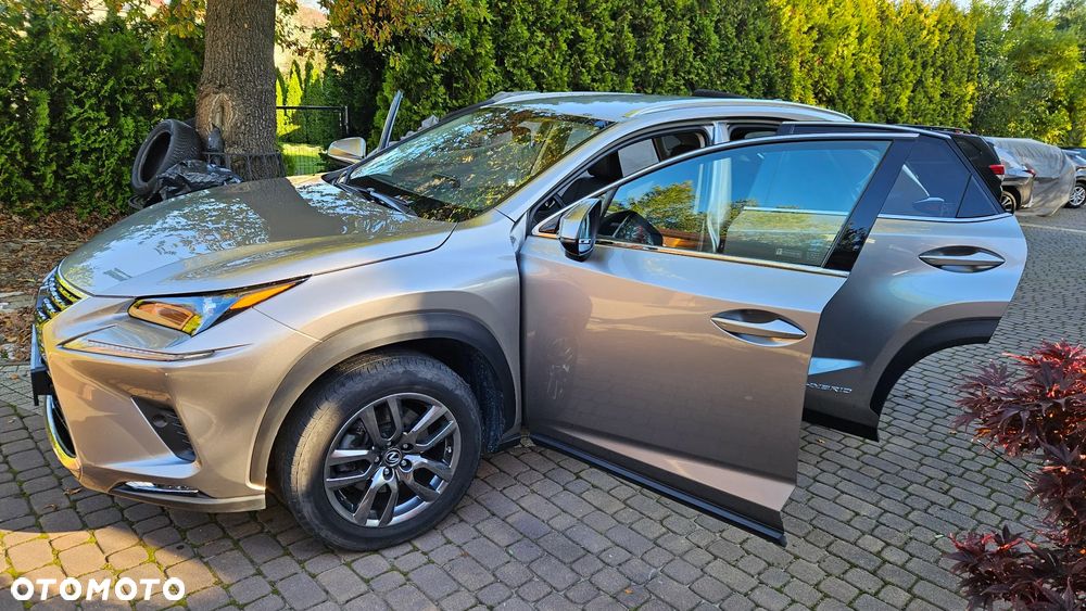 Lexus NX 300h Prestige AWD - 13