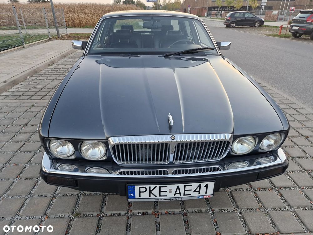 Jaguar Daimler Double Six - 13
