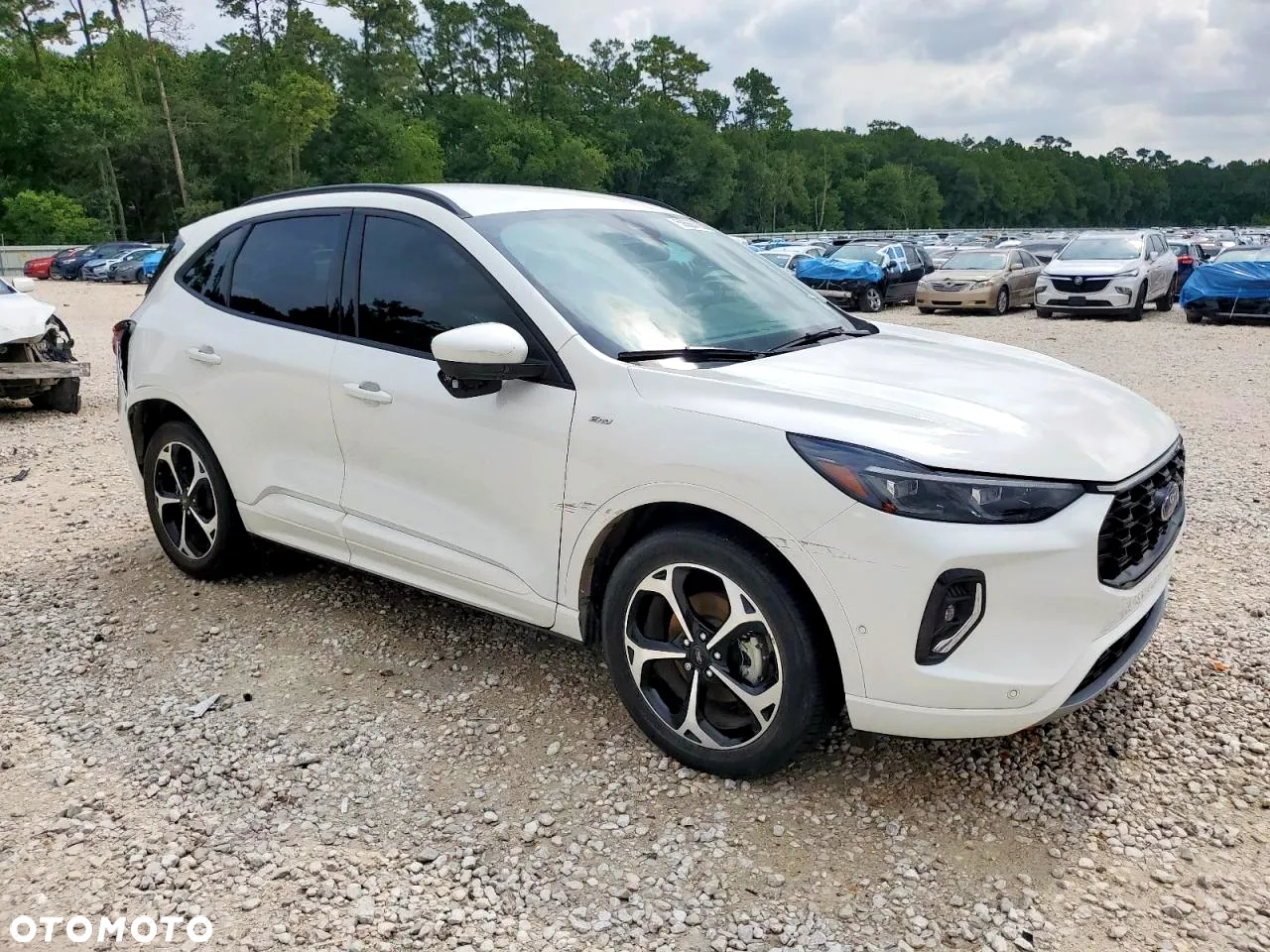 Ford Escape - 5
