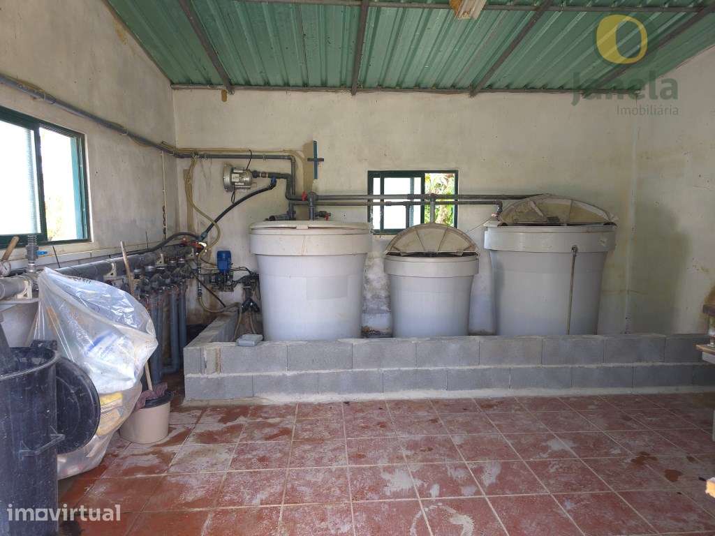 Quinta com uma área total de 3,95 ha, duas habitações com 300 m2, c... - Grande imagem: 5/30