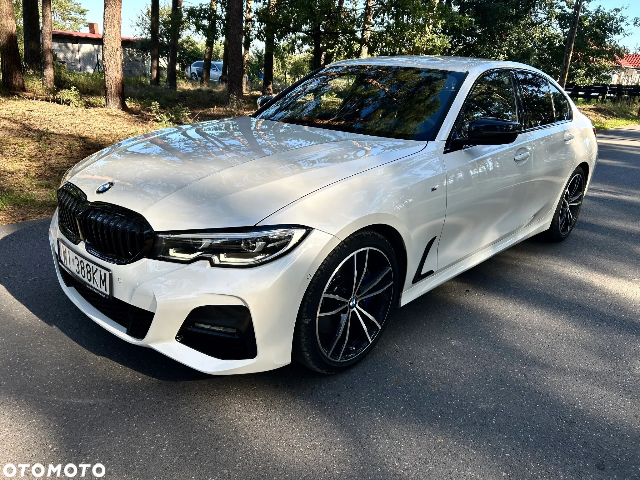 BMW Seria 3 318i M Sport - 1