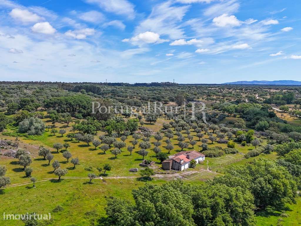 Herdade Ganadeira com 193 ha no Crato, Alentejo - Grande imagem: 2/60