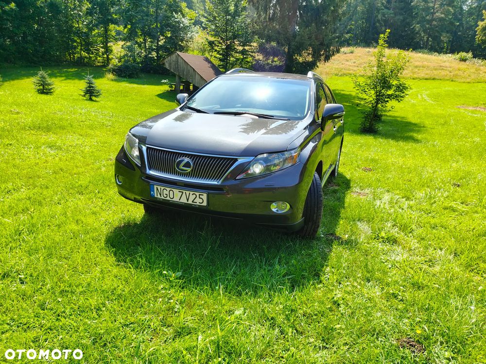 Lexus RX - 1