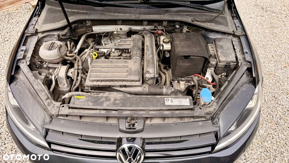 Volkswagen Golf 1.4 TSI BlueMotion Technology DSG Allstar - 32