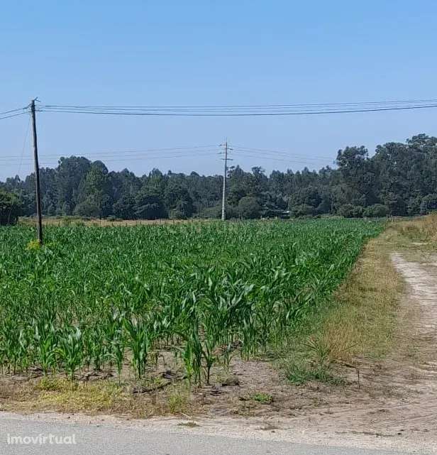 Terreno - Estarreja - Grande imagem: 5/6