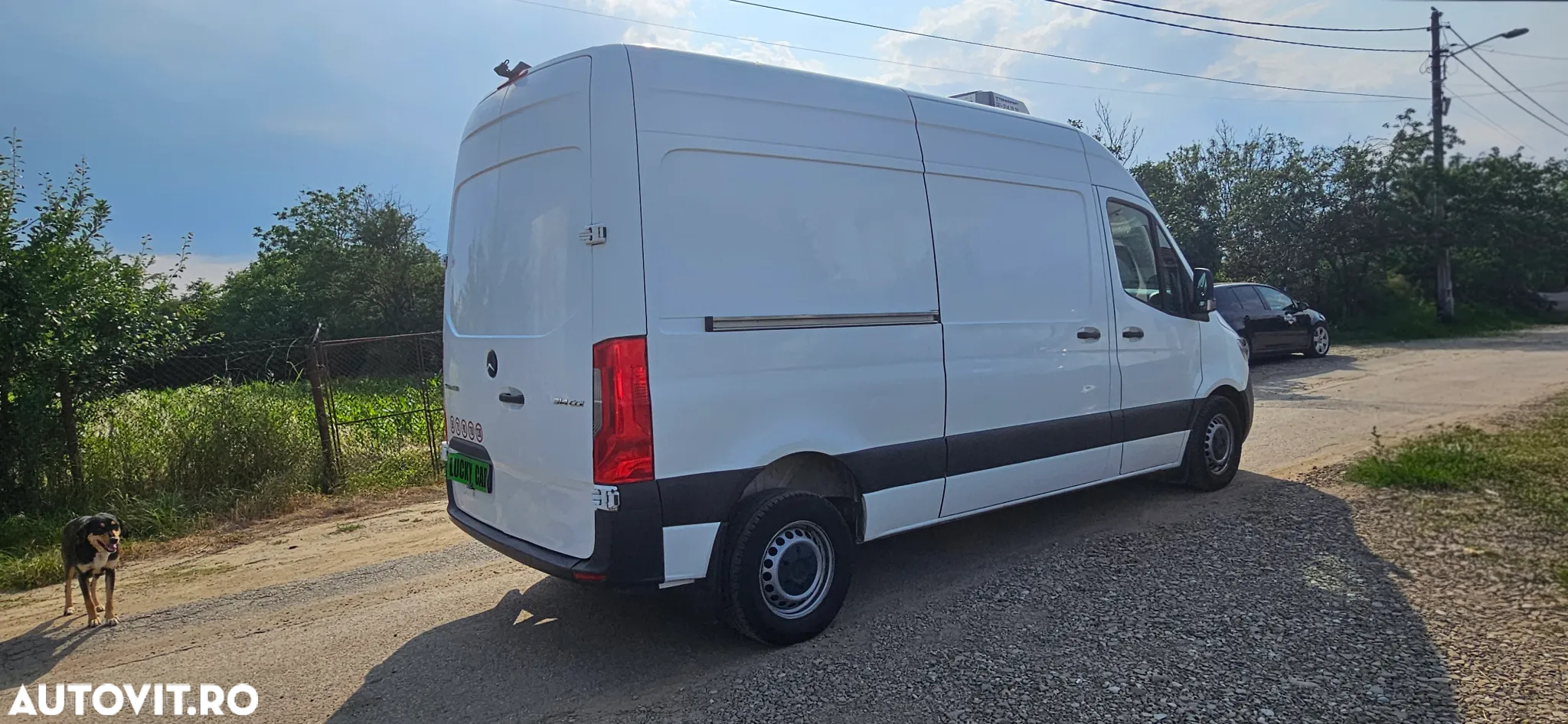 Mercedes-Benz Sprinter Frigorific Thermoking - 5