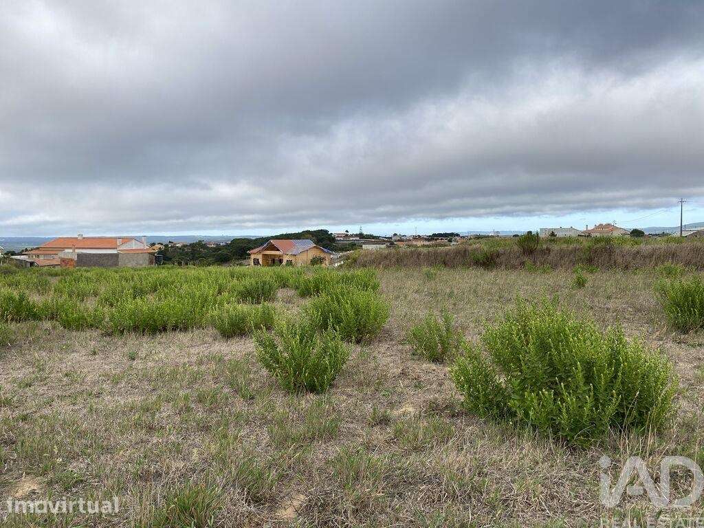 Terreno Agrícola em Bárrio - Grande imagem: 4/31