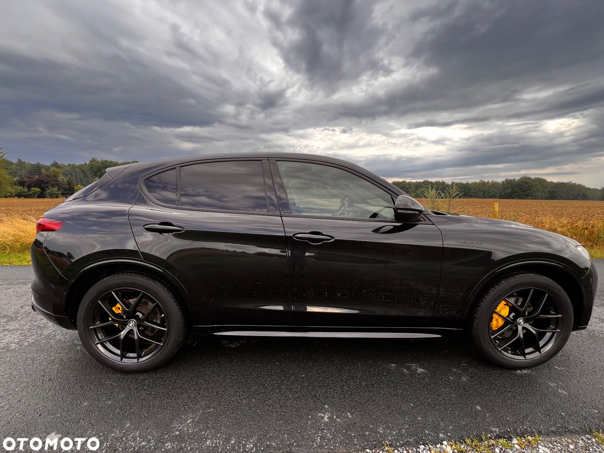 Alfa Romeo Stelvio 2.0 Turbo Veloce Q4 - 1
