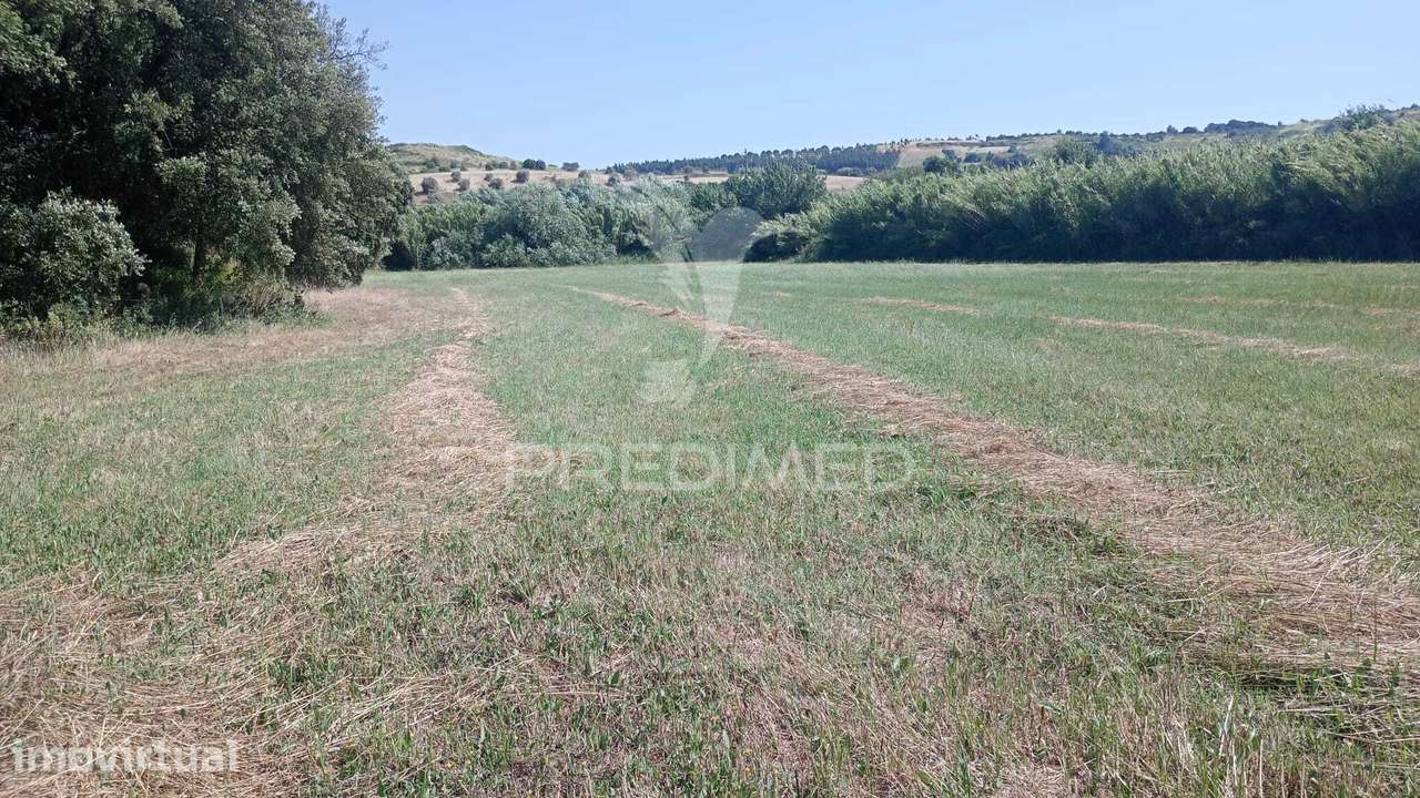 Terreno rustico/ urbano com apoio agrícola - Grande imagem: 2/2