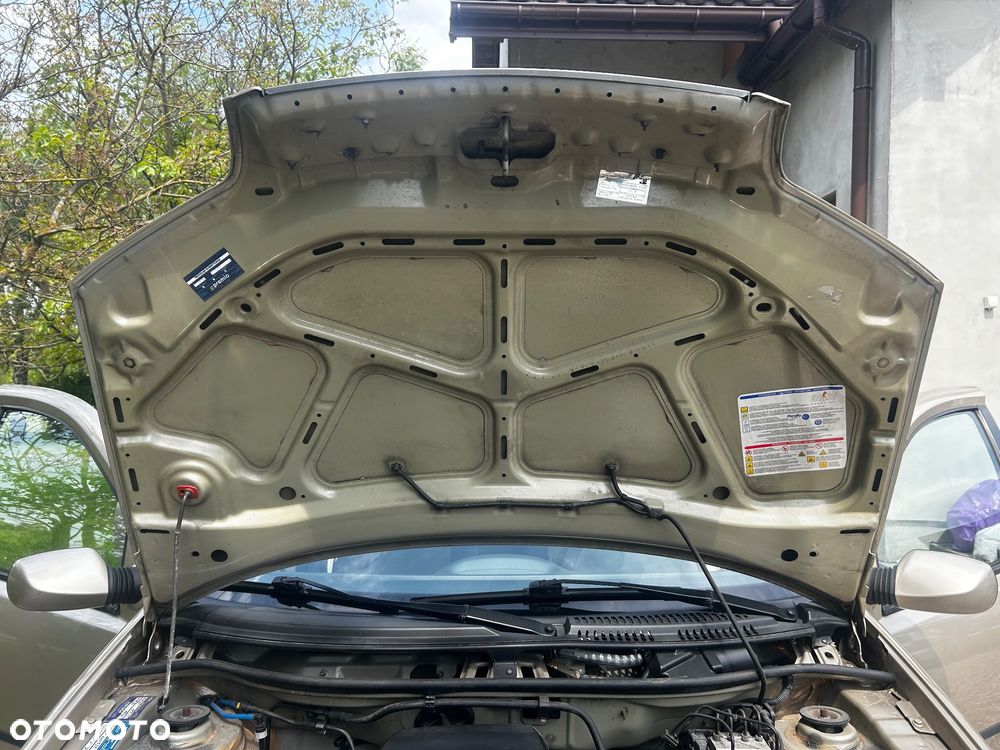 Fiat Punto - 21