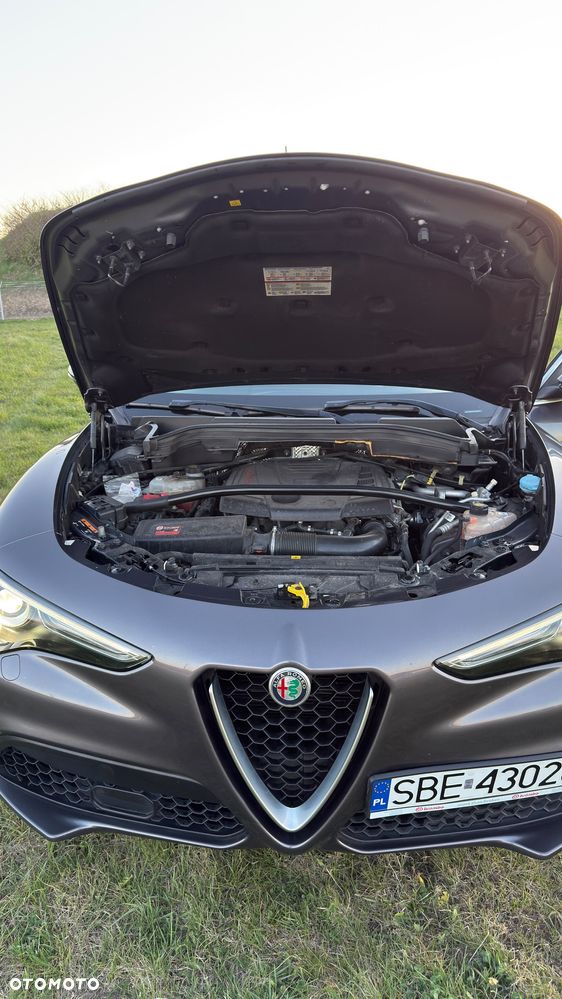Alfa Romeo Stelvio 2.0 Turbo 16V AT8-Q4 Super - 29