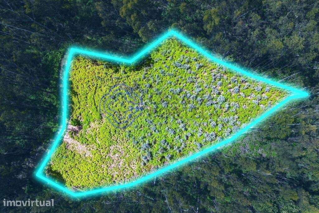 Terreno Rústico em Zona Agroflorestal — Fonte dos Almocreves, Santa Cr - Grande imagem: 2/17