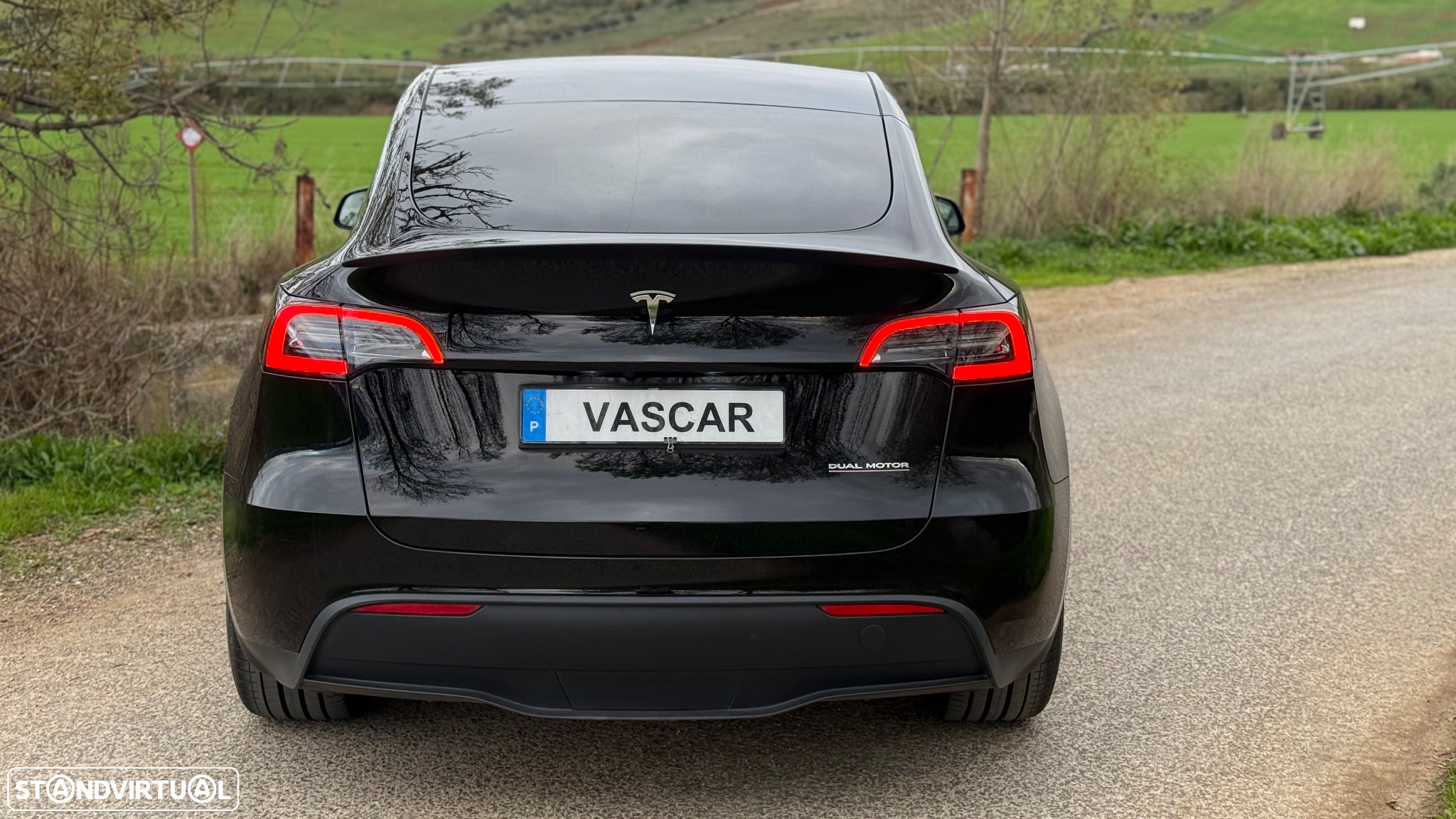 Tesla Model Y - 5