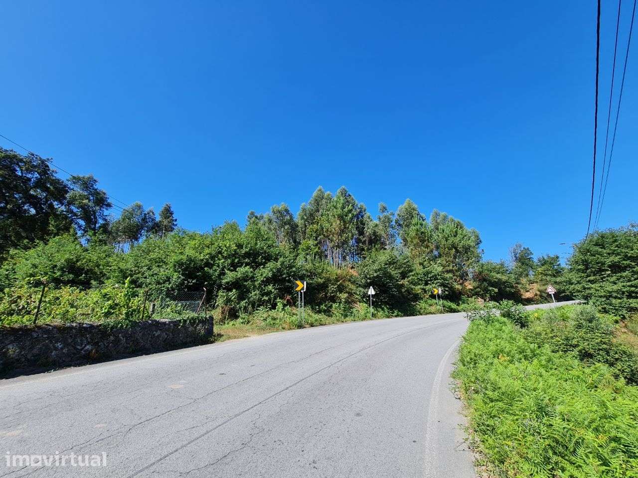 Vende-se 8000m2 de terreno com área de construção para moradia - Grande imagem: 5/5