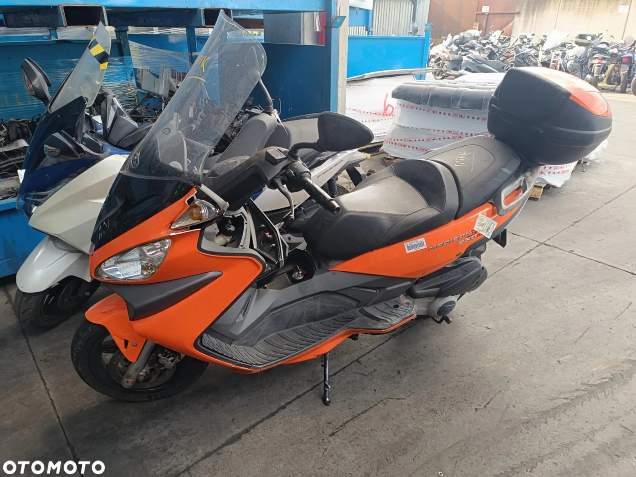 MALAGUTI MADISON 250 wariator napęd pas sprzęgło beverly x9 mp3 atlantic - 10