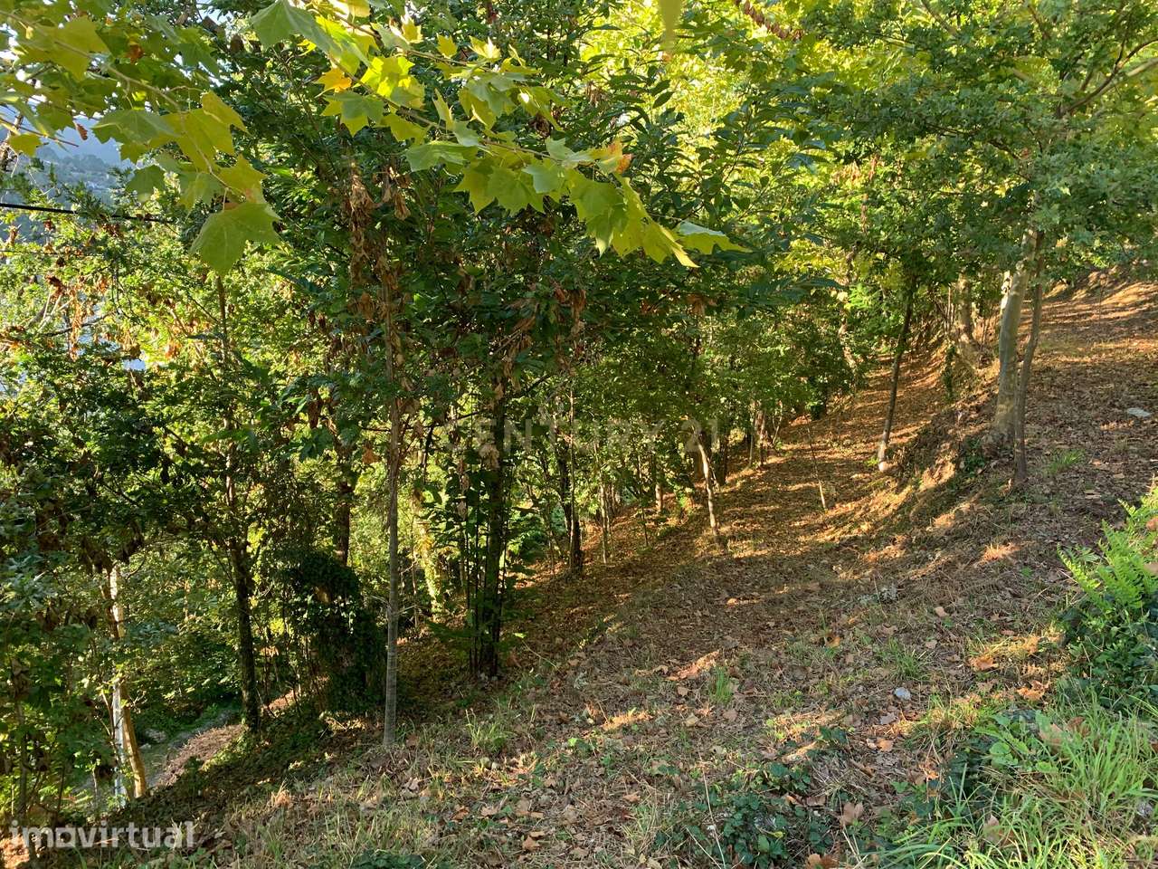 Terreno com 2.240m2 ² com vista deslumbrantes para o rio no Gerês - Grande imagem: 3/19