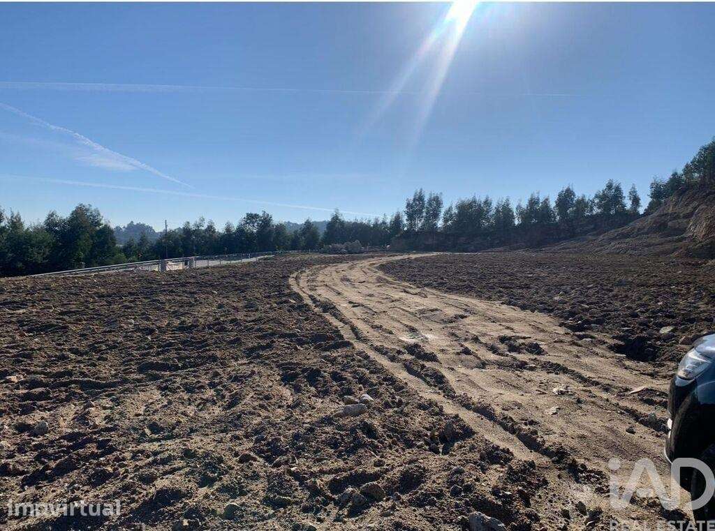 Terreno Agrícola em Cristelos, Boim e Ordem