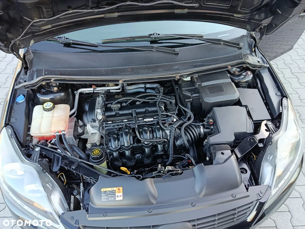 Ford Focus - 13